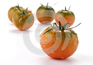 Tomatoes