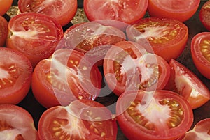 Tomatoes