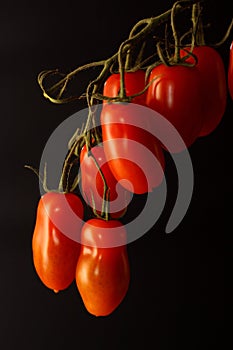 Tomatoes photo