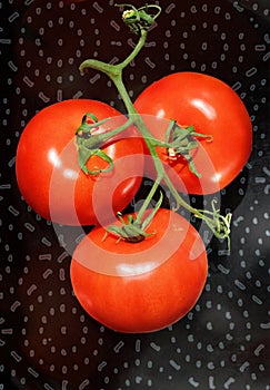 Tomatoes