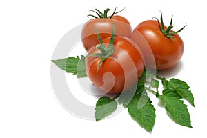 Tomatoes