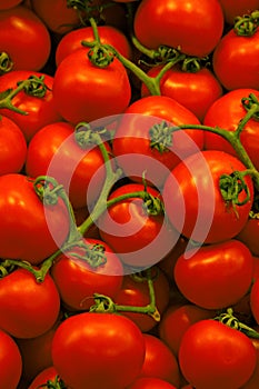 Tomatoes