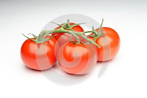 Tomatoes