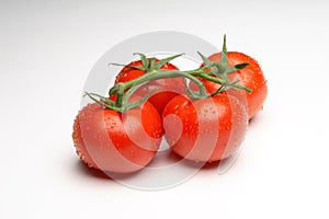 Tomatoes