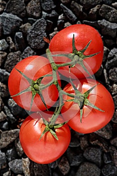 Tomatoes