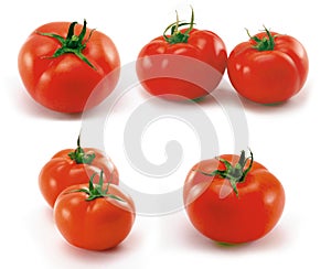 Tomates 