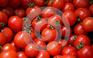 Tomatoes