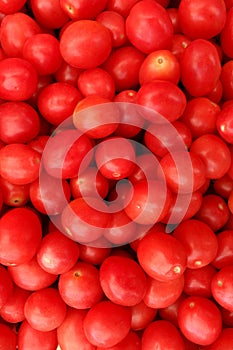 Tomatoes