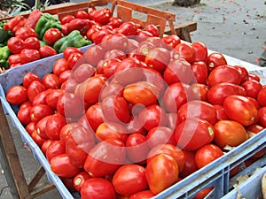 Tomatoes