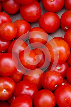 Tomatoes