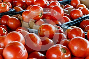 Tomatoes