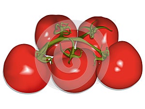 Tomatoes against white vector