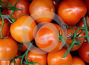 Tomatoes background close up