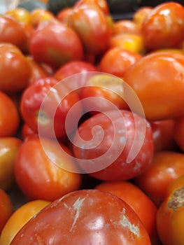 tomatoes background gradually going from red to orange and to yellow. Food background