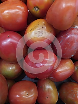 tomatoes background gradually going from red to orange and to yellow. Food background