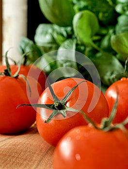 Tomatoes, basil and a bottle of wine