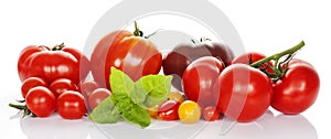 Tomatoes with basil isolated on white background
