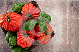 Tomatoes with basil leaf, water drops close up.