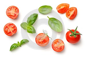 Tomatoes and Basil Leaves Isolated on White Background photo