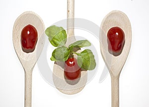 Tomatoes, basil on wooden spoon
