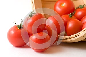 Tomatoes in a Basket