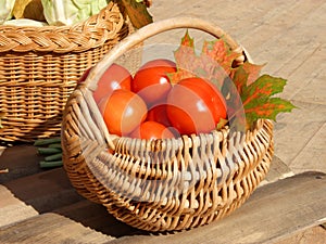 Tomatoes in the basket - Fall Stock photos