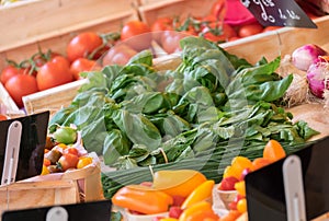 Tomatoes, bell peppers, mint and basilicum