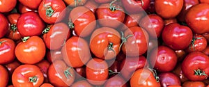 Tomatoes box background. Harvest of ripe farm tomatoes. Vegetable agriculture concept.