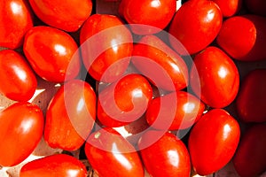 Tomatoes in a box