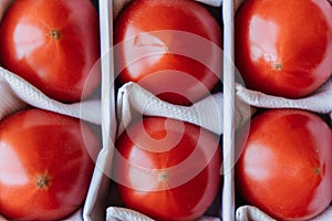 Tomatoes in a box, fruits lie separately. Close up, top view.