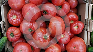 Tomatoes in box are stored in the warehouse, fresh organic vegetables