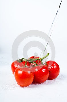 Tomatoes branch