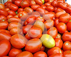 Tomatoes in Brazilian Market