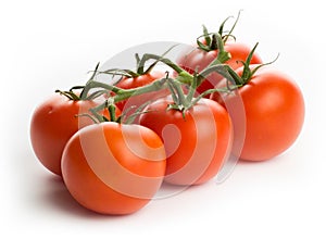 Tomatoes - bunch of six, studio high-key