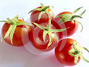 Pomodori 