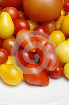 Tomatoes
