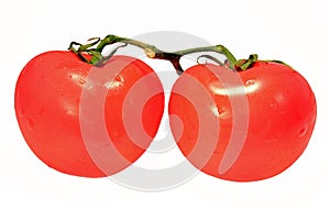 Tomatoes