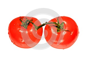 Tomatoes
