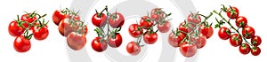 Tomatoes collection isolated on transparent background.