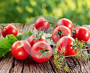 Tomatoes, cooked with herbs