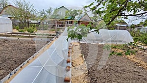 Tomatoes and cucumbers in the beds are covered with a film from the weather