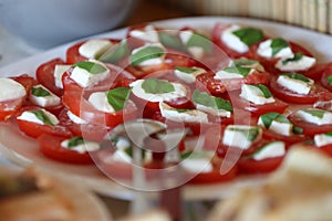 Tomatoes cut in half with spinach paste