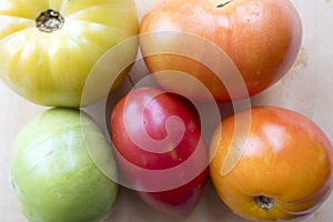 tomatoes of different colors