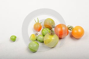 Tomatoes with Different Ripeness