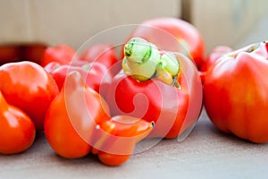 Tomatoes with disease