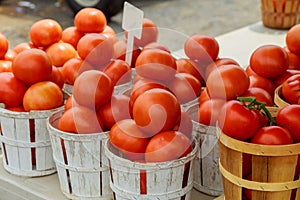 Tomatoes on display for sale farmer& x27;s market