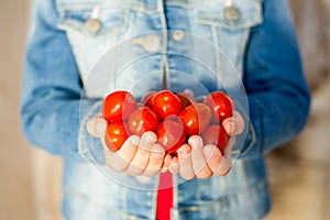 Tomatoes in farmer kid hands