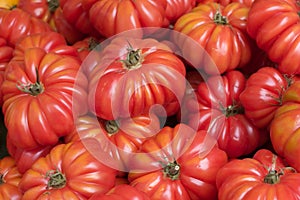 Tomatoes at farmer's market