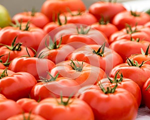 Tomatoes at the Farmer's Market