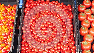 Tomatoes at farmer's market